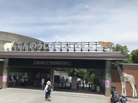 天王寺動物園の入り口