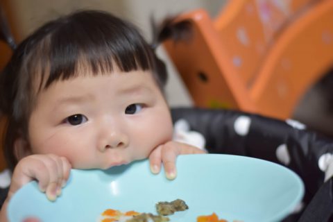 離乳食の食べすぎる時の対処法と量の目安 赤ちゃんの時期別に解説 保育士ライフ