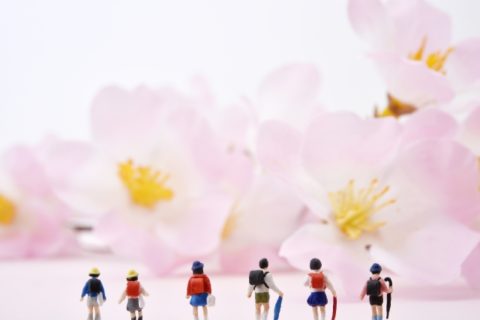 国立小学校の受験倍率は高い!抽選は?合格基準と対策と学校の費用