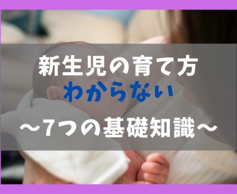 新生児の育て方がわからないの解説書 スケジュールの基本と育児 保育士ライフ