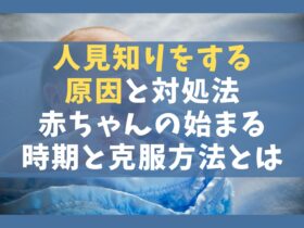 子育て 保育士ライフ ページ 2